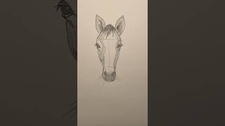 Draw a horse 🐴 Easy drawing lesson for beginners on how to draw a horse #drawinglesson #howtodraw
