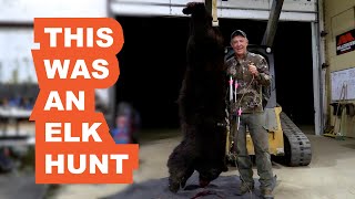 Elk Hunt Turns Into a Bear Hunt