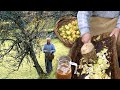 SIDRA casera. Chafado y prensado de MANZANAS con herramientas tradicionales y SIN tecnología moderna