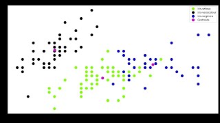 The Spark Foundation Task 02 'Iris' dataset, predict the optimum number of clusters and represent.