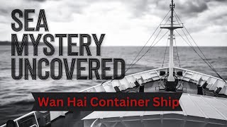 What REALLY Happened at Sea? Wan Hai Container Ship