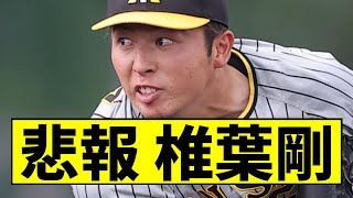 【阪神】椎葉が大変な事に...【2chスレ】