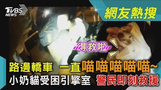 路邊轎車 一直喵喵喵喵喵~ 小奶貓受困引擎室 警民即刻救援｜TVBS新聞