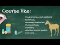 Online Vet Tech Courses