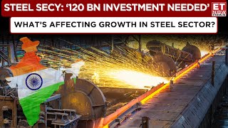 Steel Secretary: 'Seeing Robust Steel Demand In India' | Steel Sector Outlook For 2025 | Business