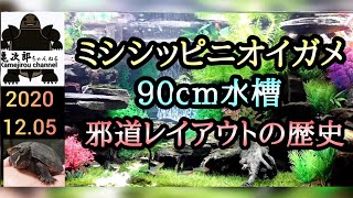 【ミシシッピニオイガメ】ミシニ水槽の邪道レイアウトの歴史