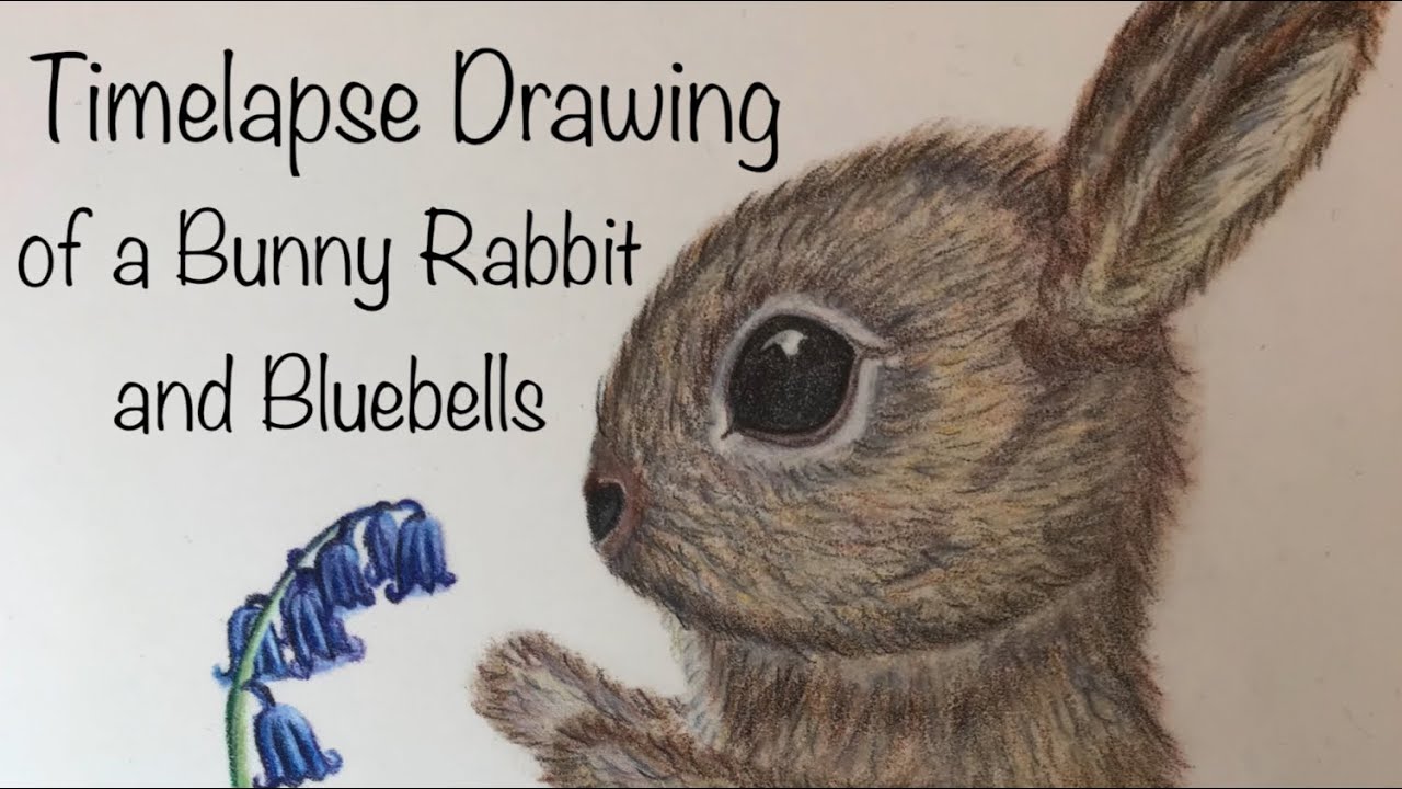 Timelapse Drawing Of A Bunny Rabbit And Bluebells Easter 2023 Colour