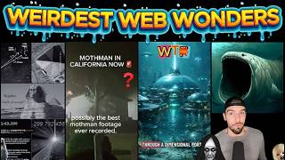 weirdest web wonders vol 213