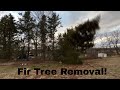 Fir Tree Removal, Homestead Logging & Clean Up! Soon to be 1x8 Rough Cut Siding!