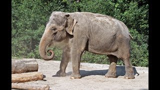 Zoo Ljubljana