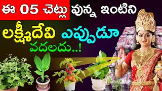 ఈ ఐదు చెట్లు వున్న ఇంటిని లక్ష్మీదేవి ఎప్పుడూ వదలదు