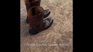 Lucchese Caiman Ropers on Foot