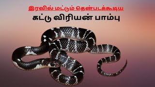 Pt Name:Mr.Sakthi, 26 yrs a case of snake bite - Krait, very unusual presentation.|#TCR|#snake.