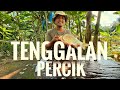 Ikan Tengalan Masak Percik