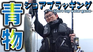 岸から自作ルアーで青物を狙う!!ショアプラッギング!!