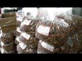 Pecans Going Global - Berdoll Pecan Farm