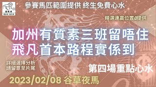 港經佬賽馬貼士及分析｜第四場參賽馬匹資料｜08-02-2023 跑馬地九場夜馬谷草賽事｜免費心水及賽馬貼士｜全方位博彩及投資頻道｜足球｜賽馬｜股票｜樓市 #賽馬貼士