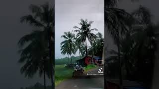 കാറ്റാടി പാടം കണ്ടിട്ടുണ്ടോ ..? Kattadipadam kerala India Malappauram