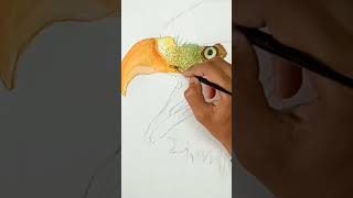 Watercolor drawing | #eagle #subscribe #drawing