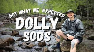 Dolly Sods Was NOTHING Like We Expected