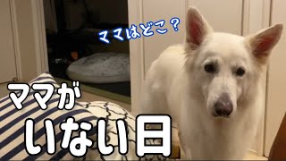 【ママは？】まだ帰ってこないの？