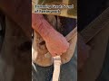 farrier working trimming hoofs asmr horse hoofs asmr horse asmrvideo asmrsounds soundasmr