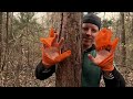 asmr giving a tree a massage