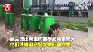 中国浙江金华警犬仙人跳钓鱼执法