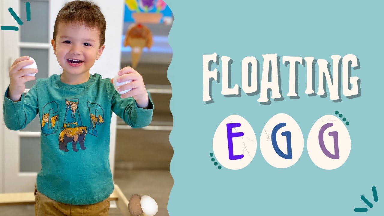 Floating Egg Experiment Explanation