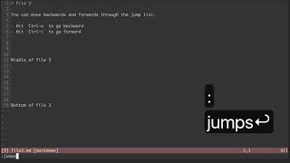 Use Vim's Jump List