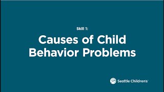 Behavior Basics Skill 1: Causes of Child Behavior Problems