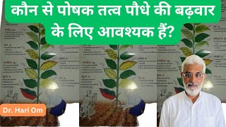 Video 38: प्राकृतिक खेती में 17 पोषक तत्वों की पूर्ति कैसे करें? Natural Farming