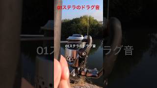 シマノ01ステラのドラグ音です！！竿はジャッカルのポイズンアドレナです。#shorts #スピニングリール #ドラグ音 #fishing#バス釣り #淀川 #bassfishing