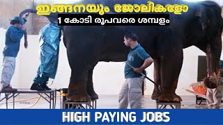 ഇങ്ങനെയും ചില ജോലികൾ/High Paying Jobs/amazing video/jobs/malayalam/molecules