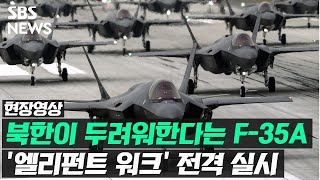 김정은이 두려워한다는 F-35A 전투기 28대 도열…'엘리펀트 워크' 훈련 실시 (현장영상) / SBS