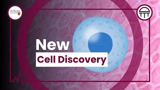 New cell discovery