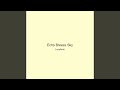 Echo Breeze Sky
