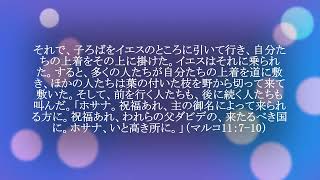 今日のマナ#1024知らなくても導かれる