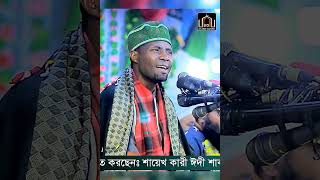 আজিব এক কন্ঠ। কারী ঈদী শাবান। Qari Eidi Saban.  Quran Tilawat.