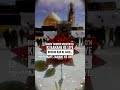 05 Rajab Wiladat Imam Ali Naqiع | Whatsapp Status | World Azaadari #shorts #imamalinaqi #karbala