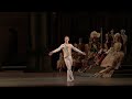 The Art of Vadim Muntagirov (The Royal Ballet)