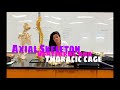 A&P I - Lab 4: Axial Skeleton Review