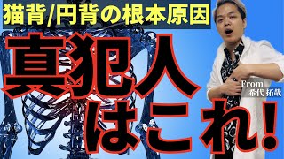 【円背/猫背テクニック】高齢者の腰痛で絶対に原因となる真犯人はこれ！肋間神経リリーステクニック #円背治療