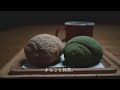 【テント泊】紅葉の始まった苔の森でソロキャンプとハイキング（八ヶ岳・白駒の池キャンプ場）