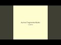 Aurora Fragments Mystic