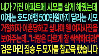 【사연열차①】내 아파트에 시모를 살게해줬는데 이제는 효도여행 500만원까지 달라는 시모..거절하자 이혼당하고 싶냐며 웬 여자사진을 보여주네요? 정신나간 두모자 참교육하는데#실화사연