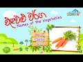 Names of the Vegetables Sinhala & English | එළවළු වල නම් ඉංග්‍රිසියෙන් සහ සිංහලෙන් | Elawalu warga