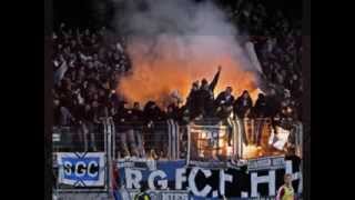 Hamburger sv hools/ultras