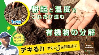 有機物の多い畑は必見!! 耕起と温度でこれだけ進む、有機物の分解【やさいJ 自然農法の畑2023 ② by 自然農法センター】