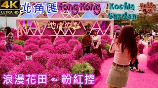 Walking in A Popular Waterfront District in Hong Kong Harbour North Kochia Garden 北角匯